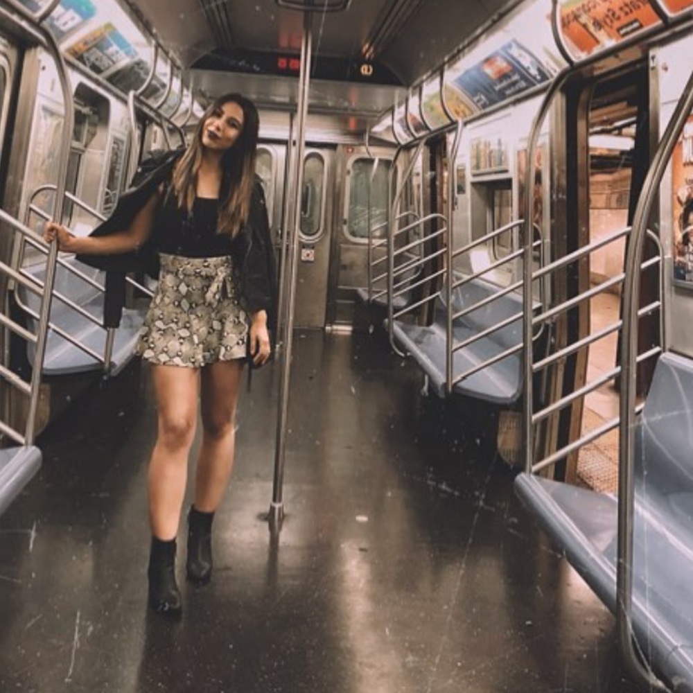 ZARA snake skin skirt